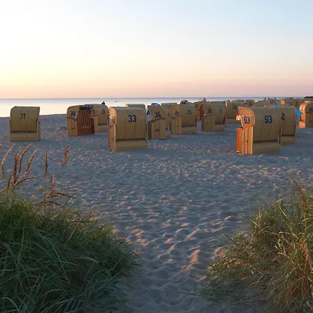 Strandgut Fip Park Gollwitz