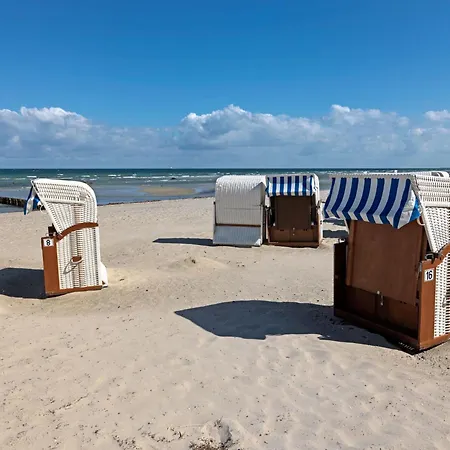 Strandgut Fip Park * Gollwitz