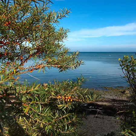 Strandgut Fip Park