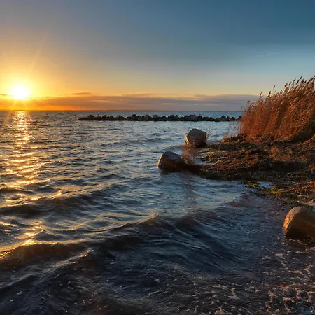 Strandgut Fip Park * Gollwitz